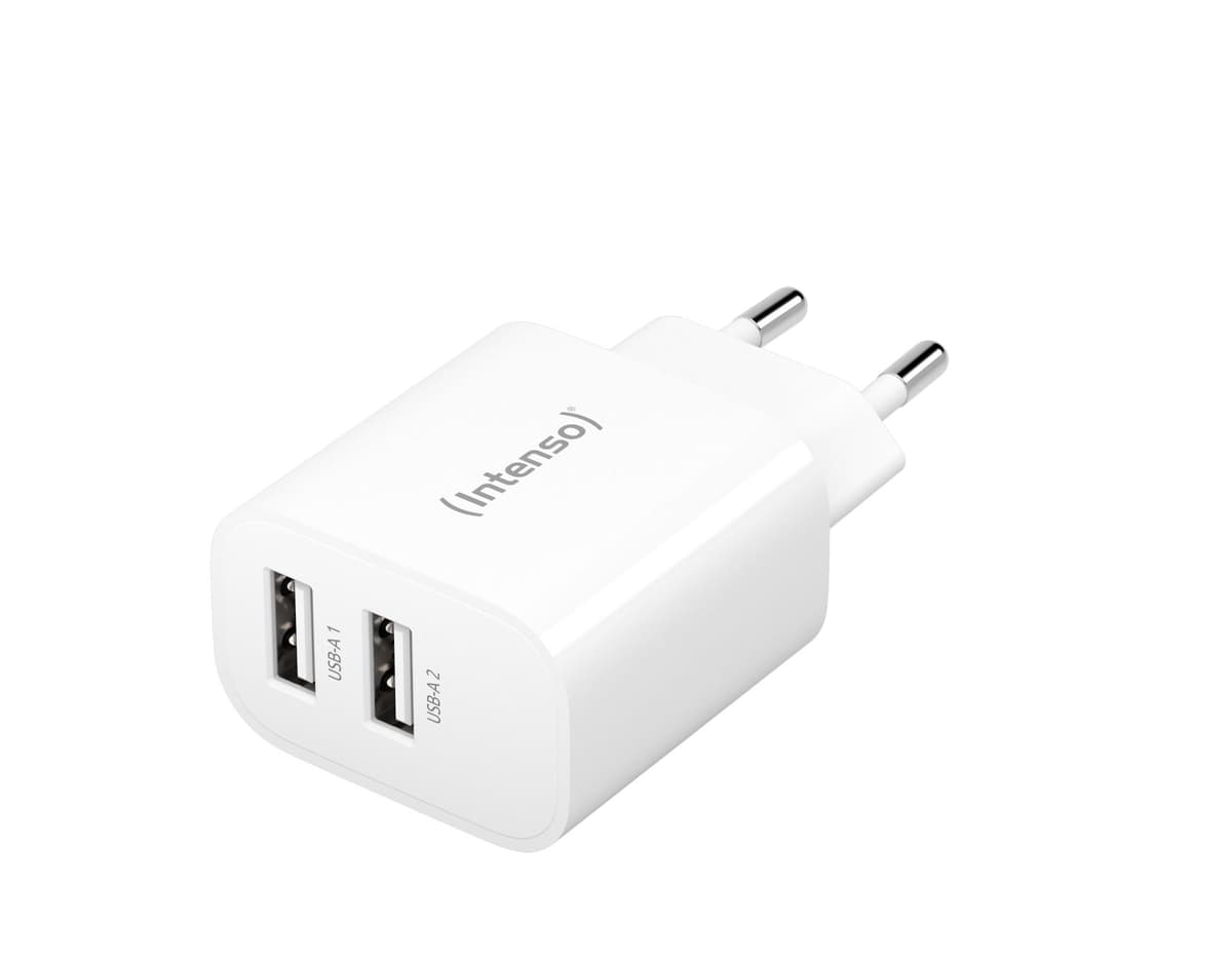 Intenso Dual USB-A Power Adapter
