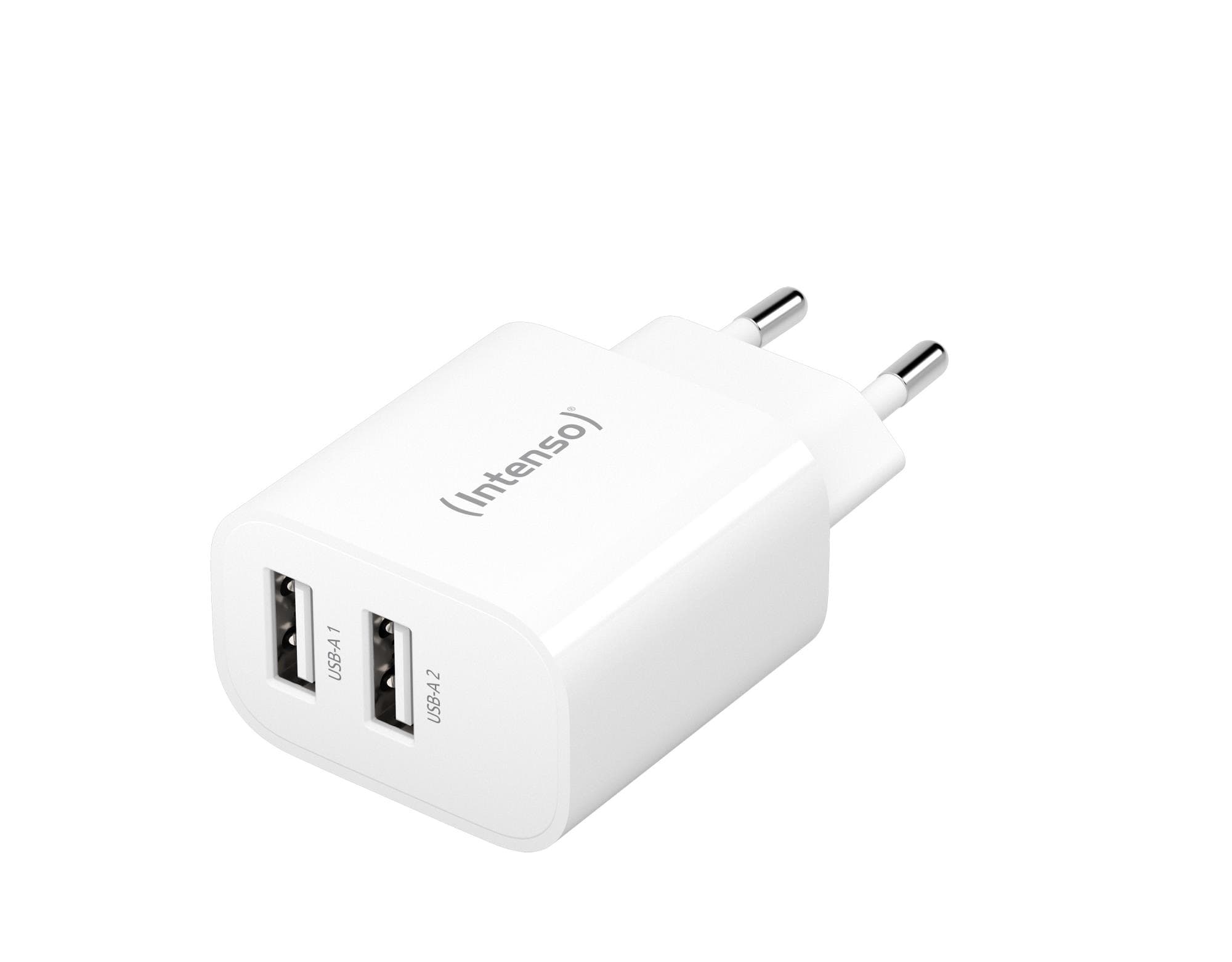 Intenso Dual USB-A Power Adapter