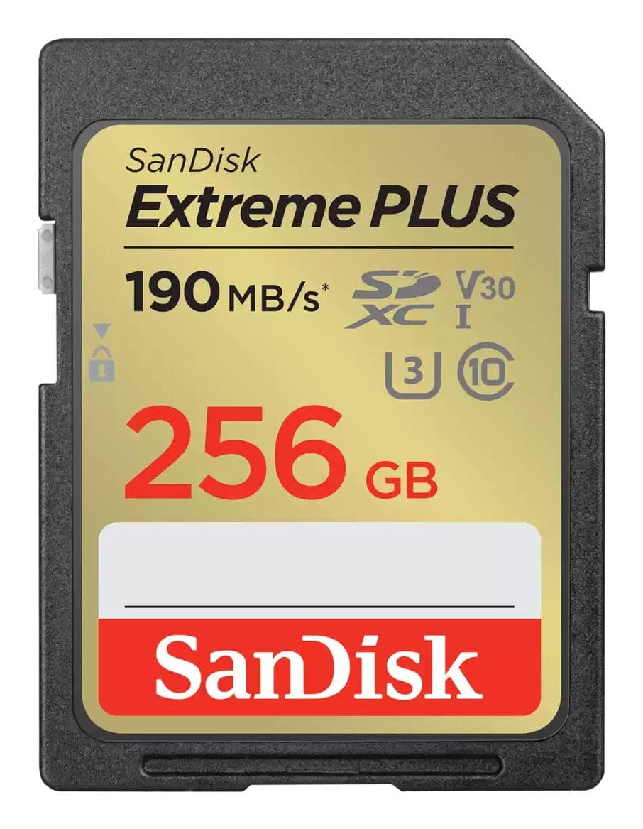 SanDisk SDSDXWV-256G-GNCIN 256GB карта памяти SDXC