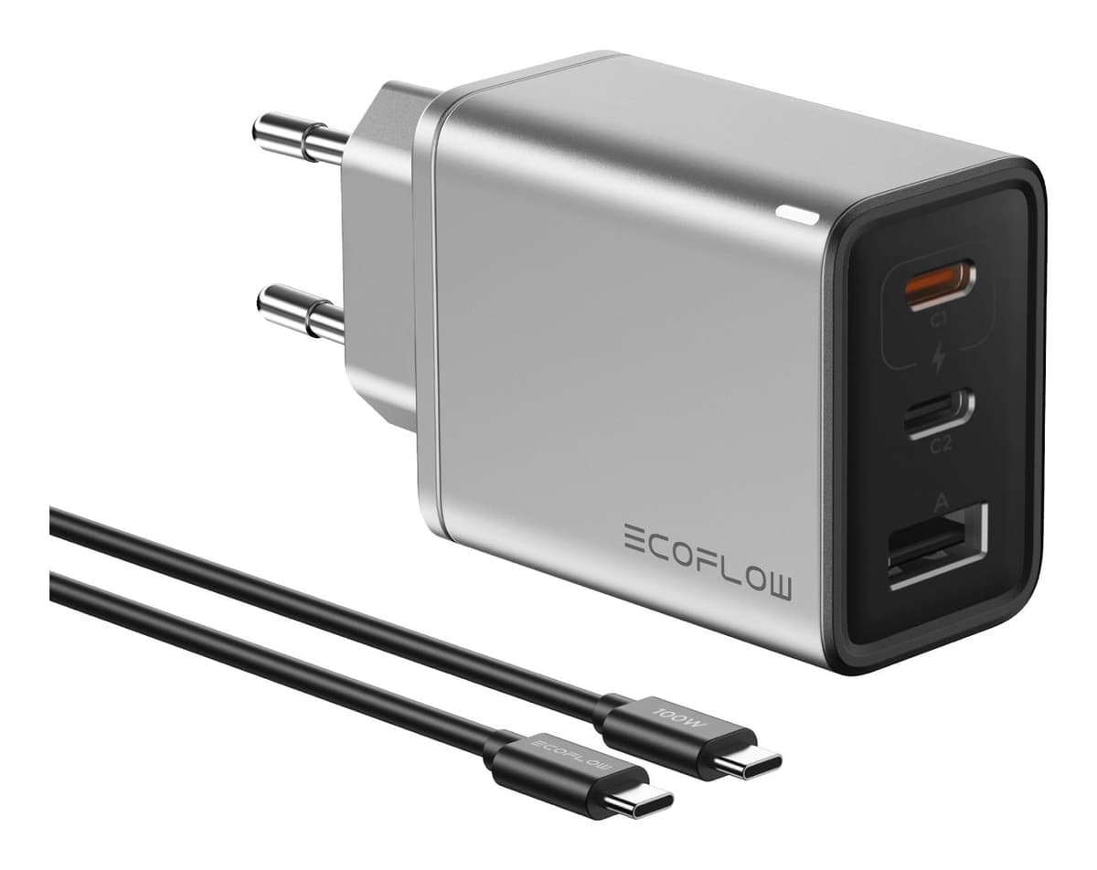 EcoFlow 65W hõbedane laadija