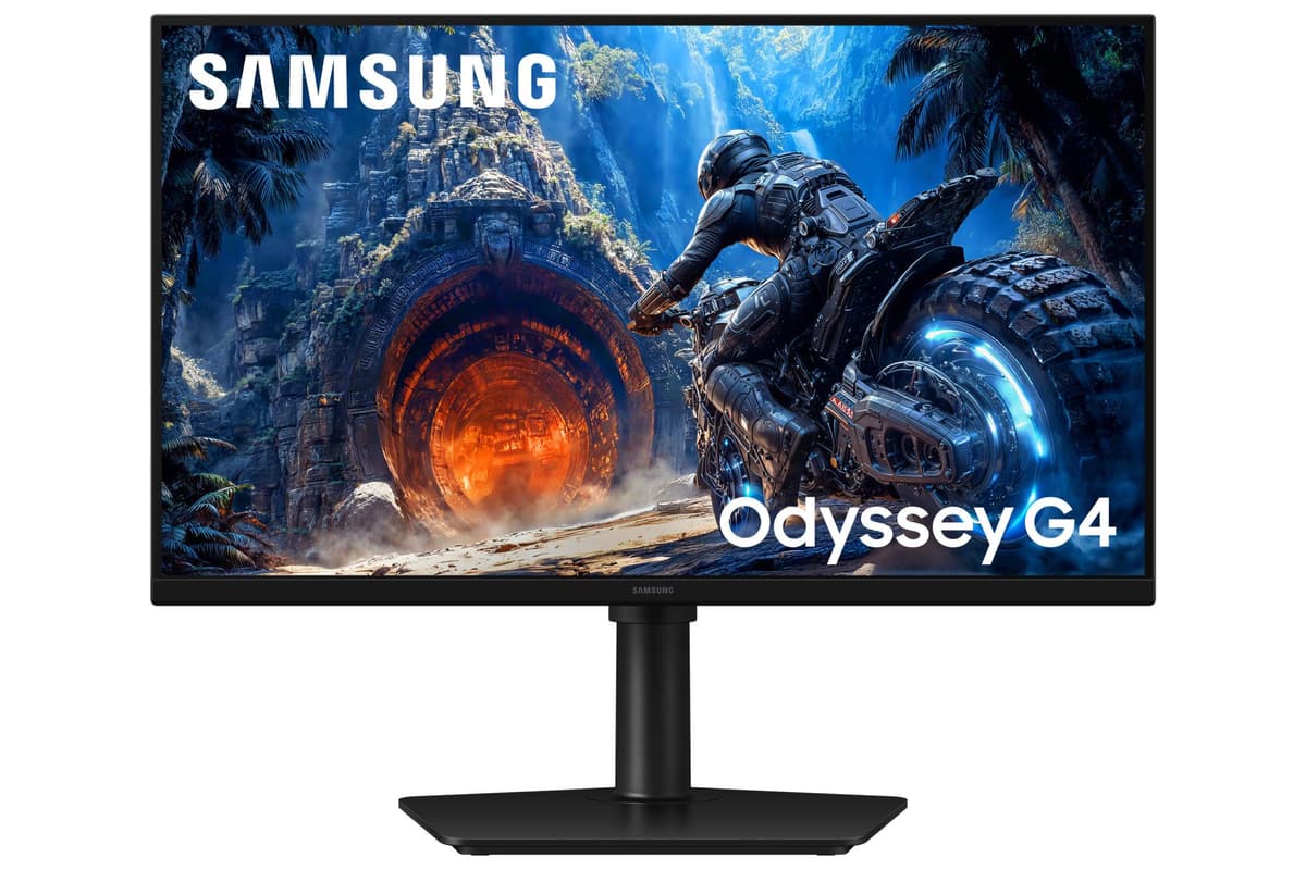 SAMSUNG LS25HG402EUXEN 25" Full HD IPS monitor