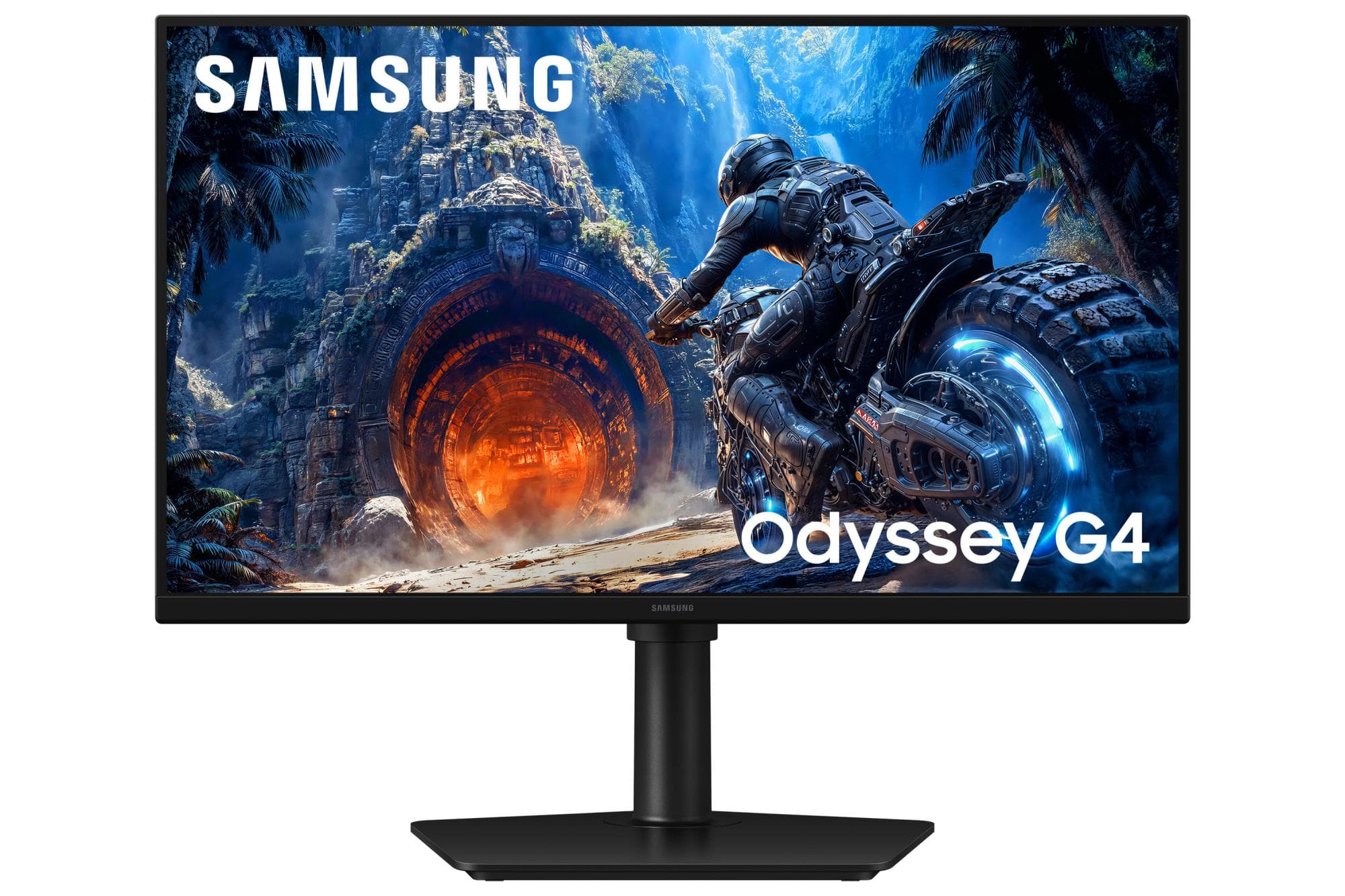 SAMSUNG LS25HG402EUXEN 25" Full HD IPS monitor