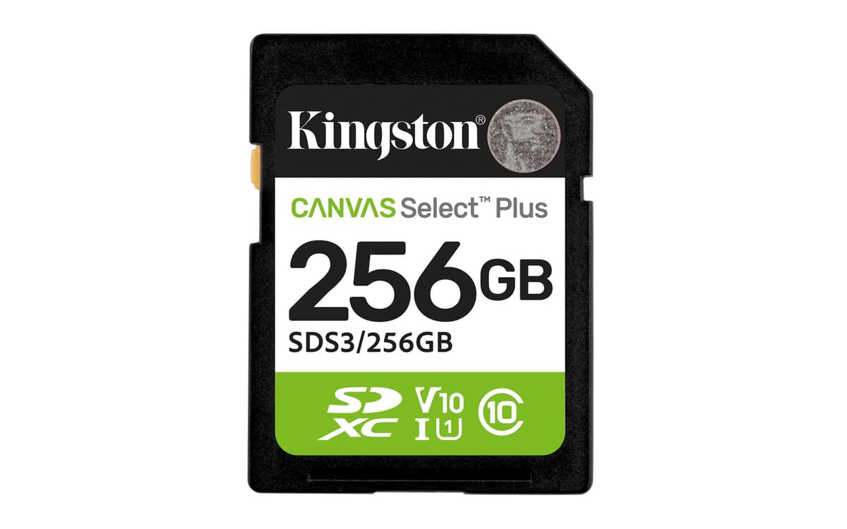 Kingston SDXC 256GB UHS-I mälukaart