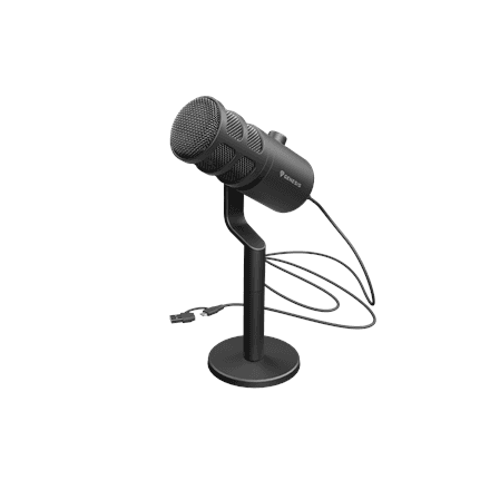 Динамический микрофон Genesis Radium 350D, USB-A и USB-C, чёрный