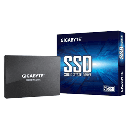 SSD Gigabyte GP-GSTFS31256GTND 256 ГБ 2,5″ SATA, чтение 520 МБ/с