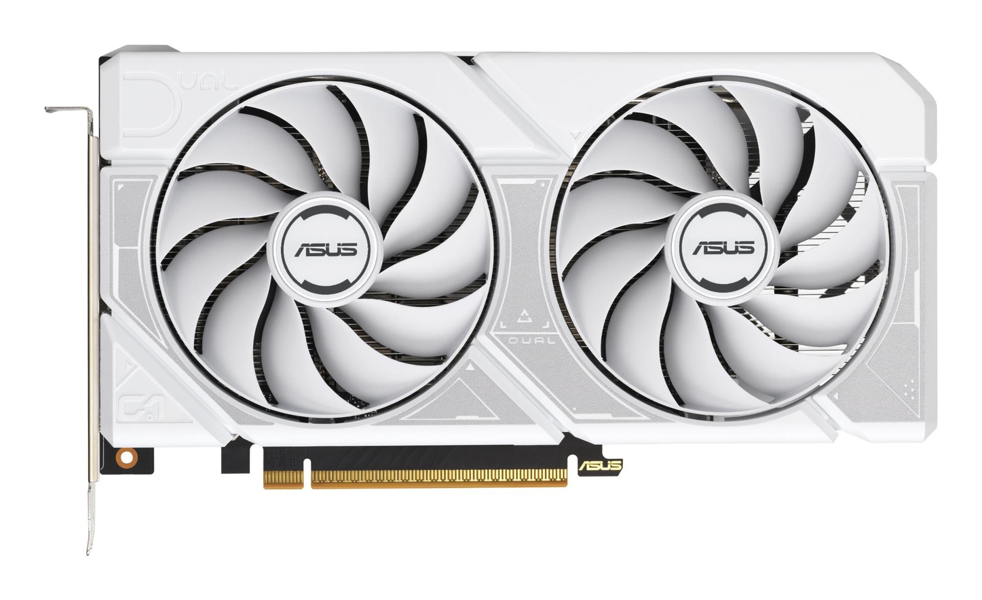 ASUS GeForce RTX 5060 8 GB GDDR7 graafikakaart (DUAL-RTX5060-O8G-WHITE)