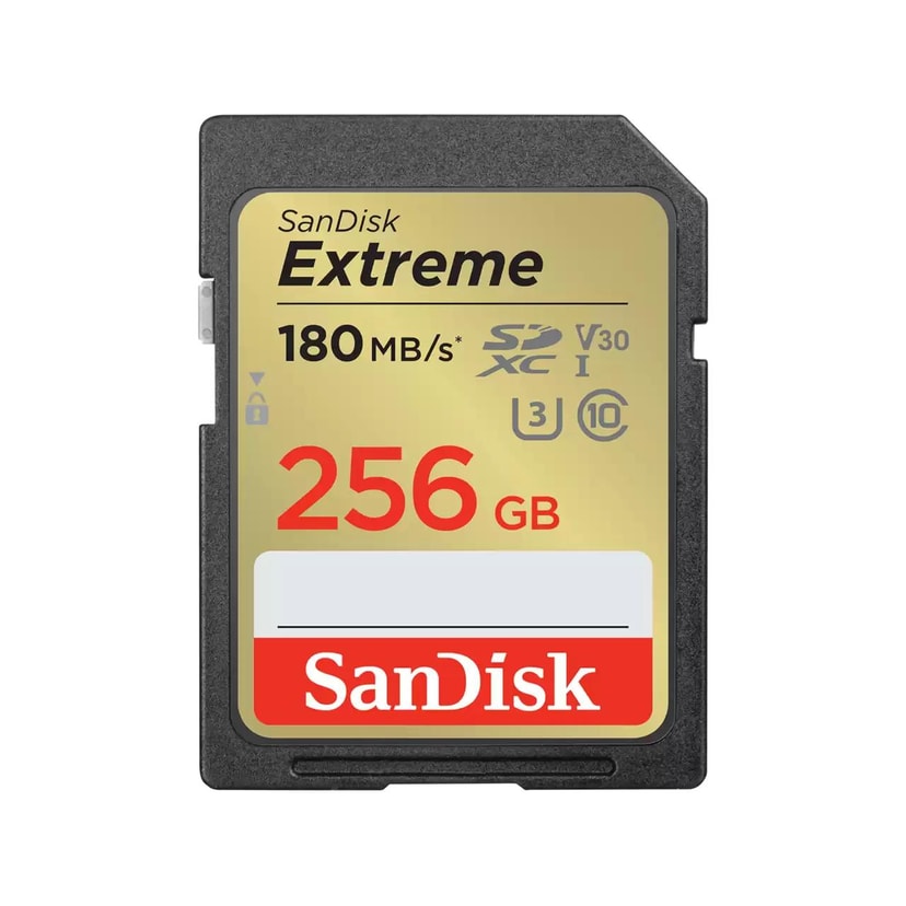 SanDisk SDXC 256GB mälukaart UHS-1