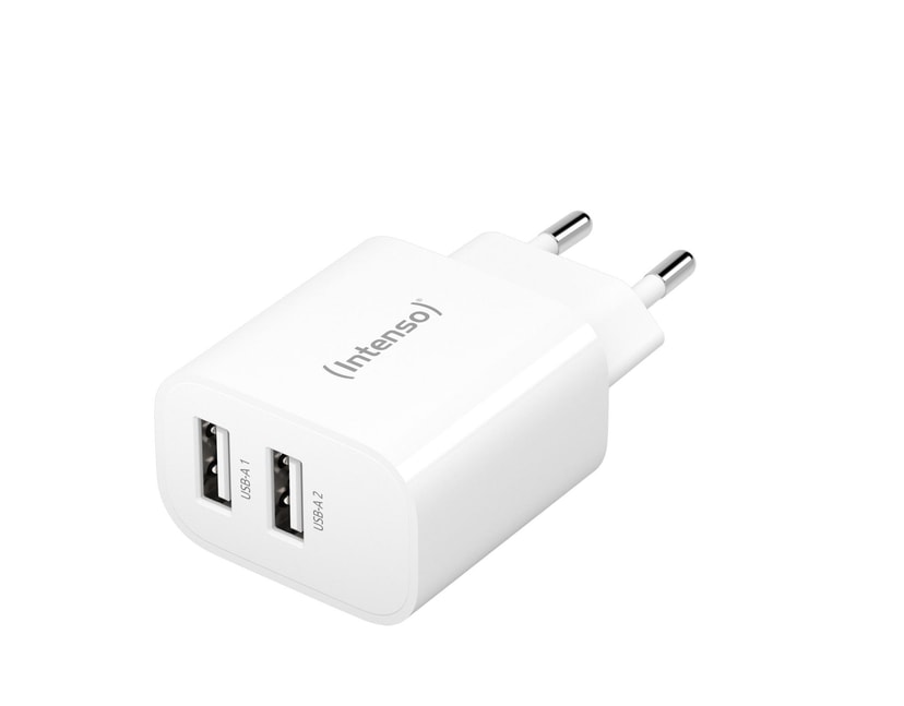 Intenso Dual USB-A Power Adapter