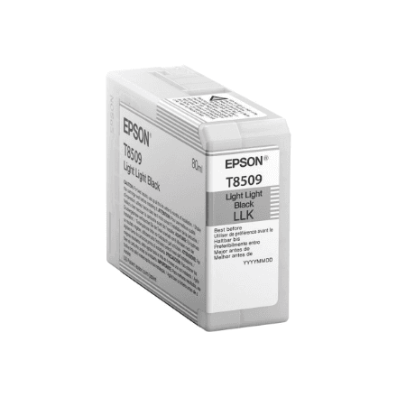 Epson T850900 картридж 80 мл светло-чёрный