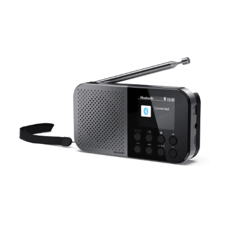 Sharp DR-P520(GY) портативный цифровой радиоприёмник