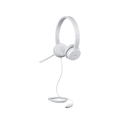 Lenovo 110 Stereo USB kõrvaklapid mikrofoniga, hall