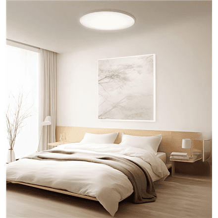 Xiaomi Smart Ceiling Light D40 45W LED fixture